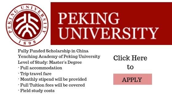 Peking University Scholarship 2022-23