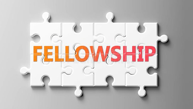 Fellowship vs Scholarship