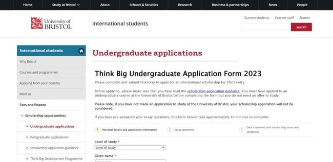 Undergraduate Scholarship