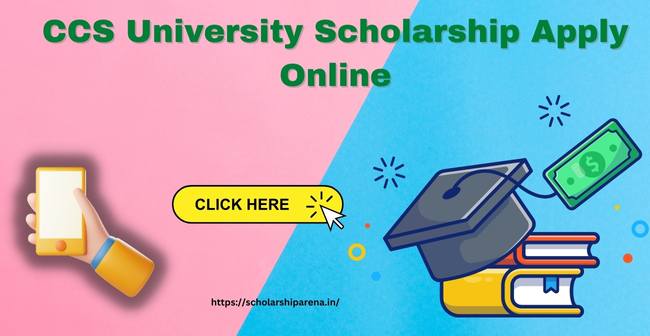 CCS University Scholarship 