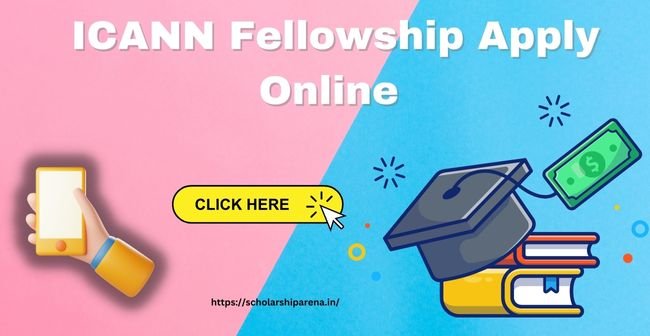 ICANN Fellowship 