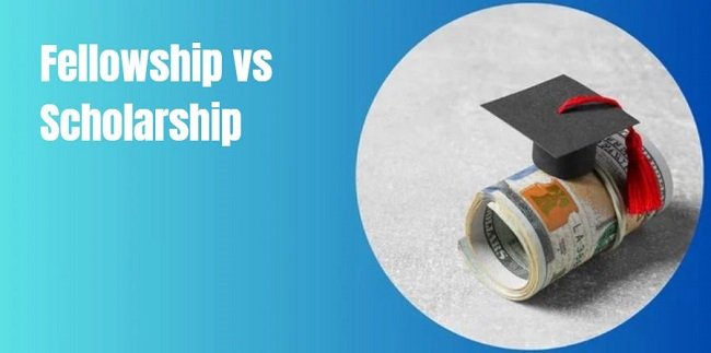 Fellowship vs Scholarship